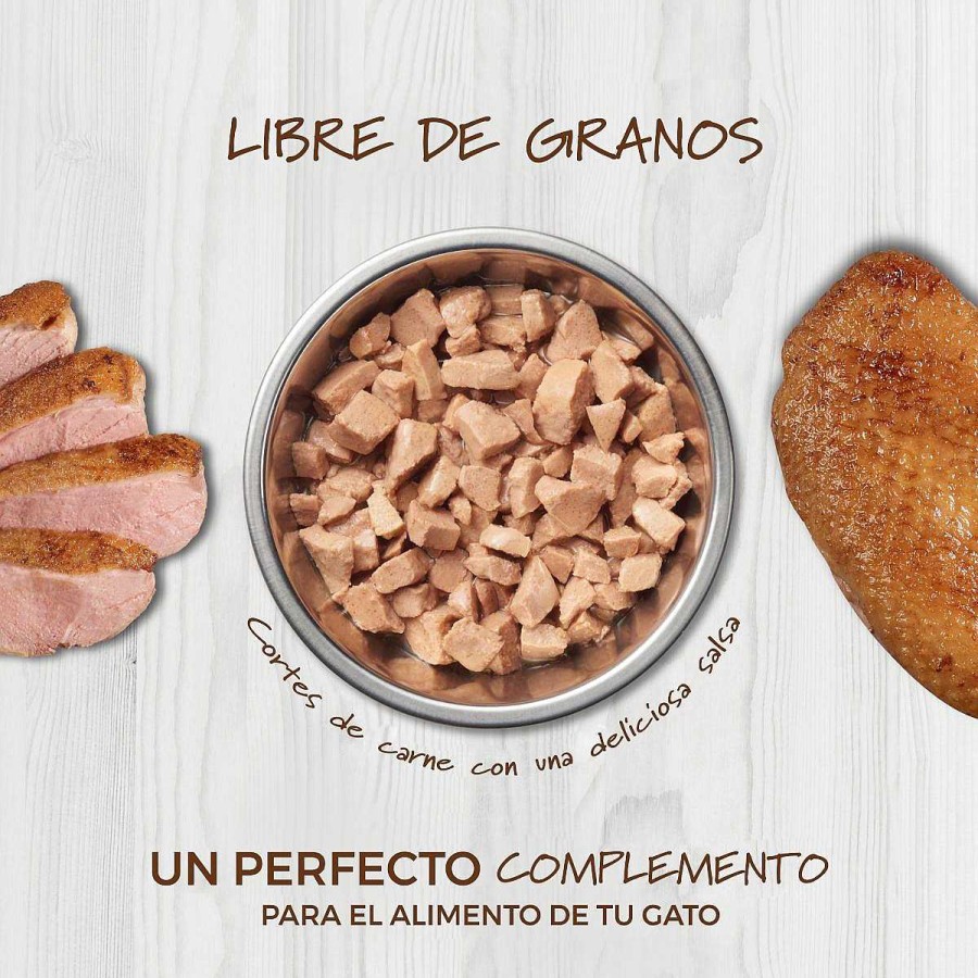 Gato Instinct Alimento H Medo | Sobre Instinct Healthy Cravings De Salm N Para Gato