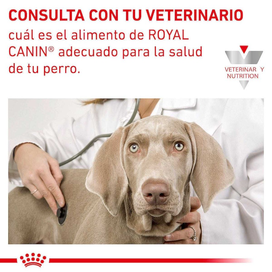 Perro Royal Canin VET Alimento H Medo | Alimento En Lata Para Perro Adulto Enfermedad Renal D Tiras En Salsa Royal Canin Vet Renal Support D Mig Canine