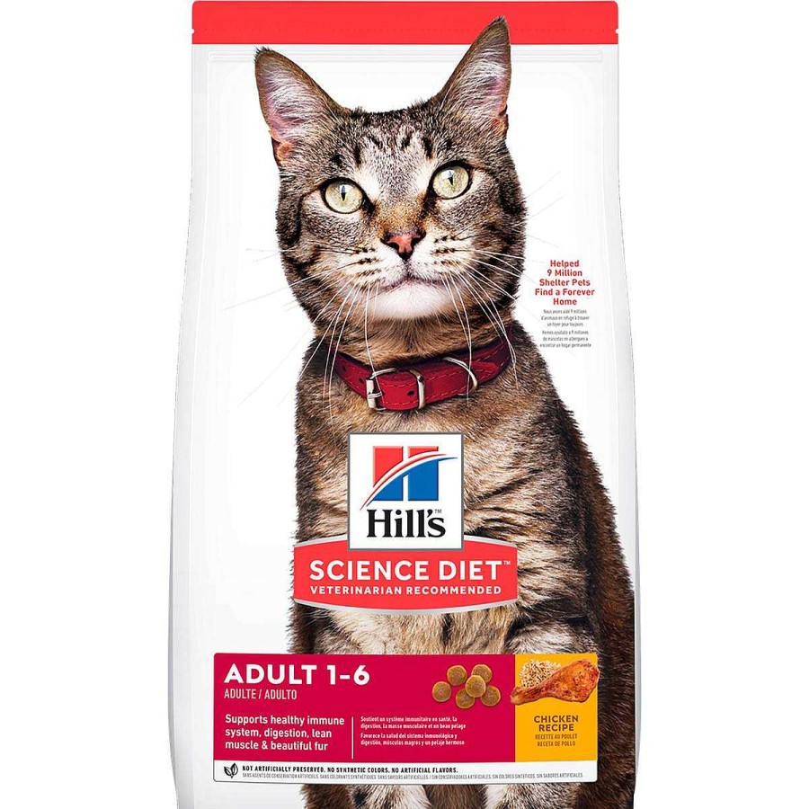 Gato Hill's Science Diet Alimento Seco | Alimento Para Gato Adulto Hill'S Science Diet Optimal Care Original