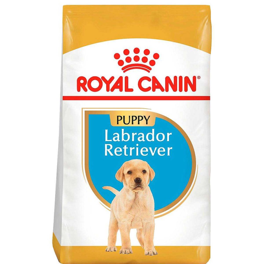 Perro Royal Canin SPT Alimento Seco | Alimento Para Cachorro Labrador Royal Canin Spt 13.6 Kg