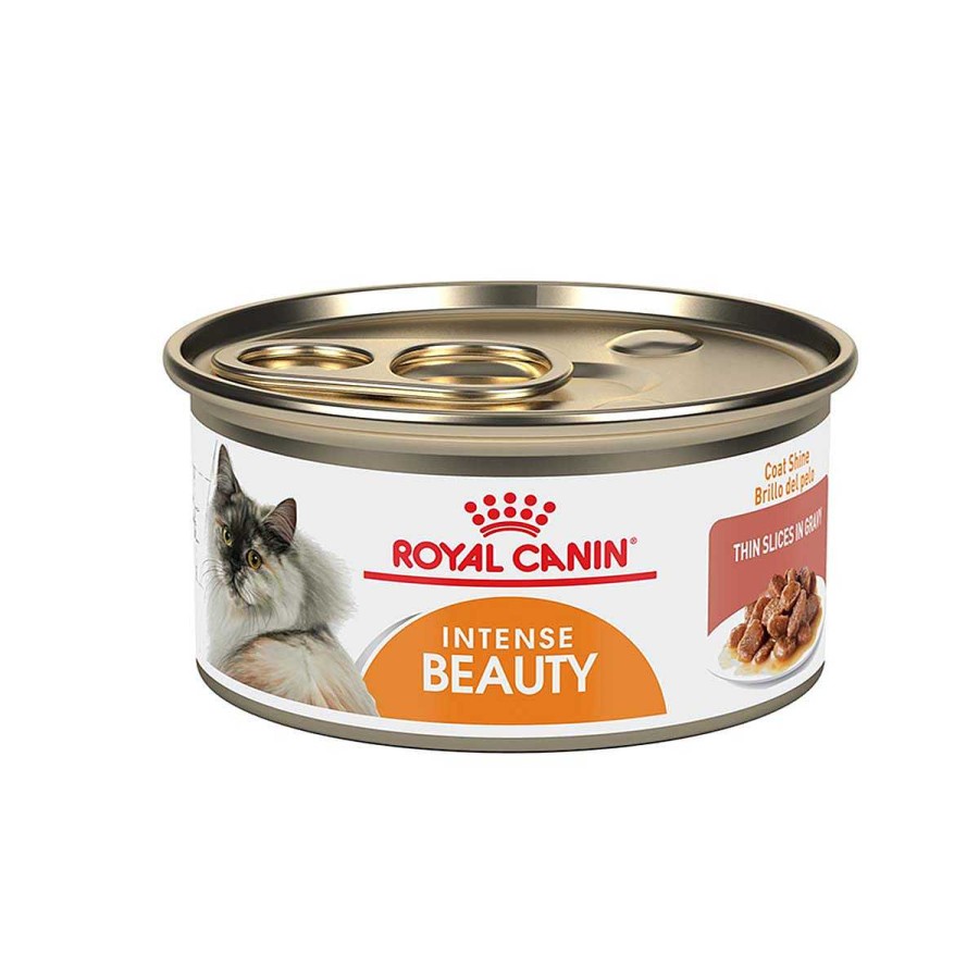 Gato Royal Canin SPT Alimento H Medo | Alimento H Medo En Lata Para Gato Adulto Royal Canin Spt Belleza Intensa (Wet Intense Beauty) Hair And Skin Pieza Individual