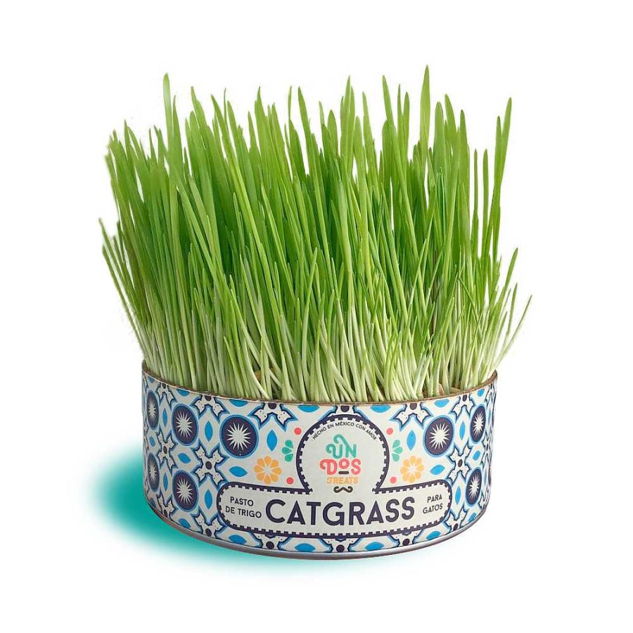 Gato Un dos treats Naturales | Catgrass Un Dos Treats