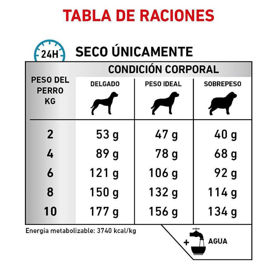 Perro Royal Canin VET Alimento Seco | Alimento Para Perro Adulto Royal Canin Vet Skin Care Small Dog