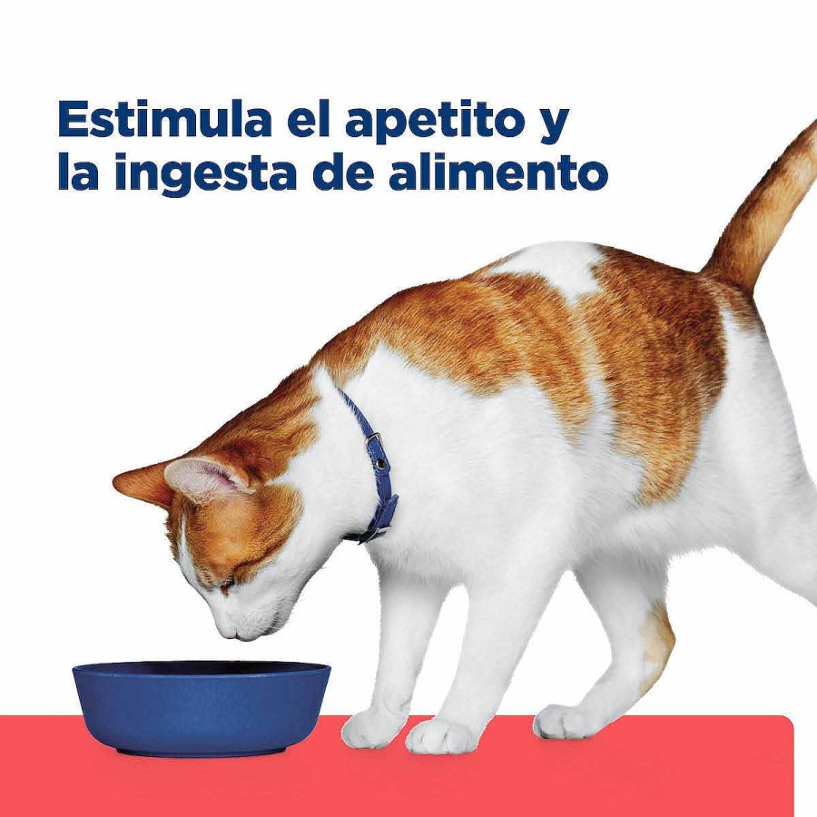 Gato Hill's Prescription Diet Alimento H Medo | Alimento Enlatado Para Gato Onc Care Nutrici N Y Apoyo De Recuperaci N Hill'S Prescription Diet (Individual)