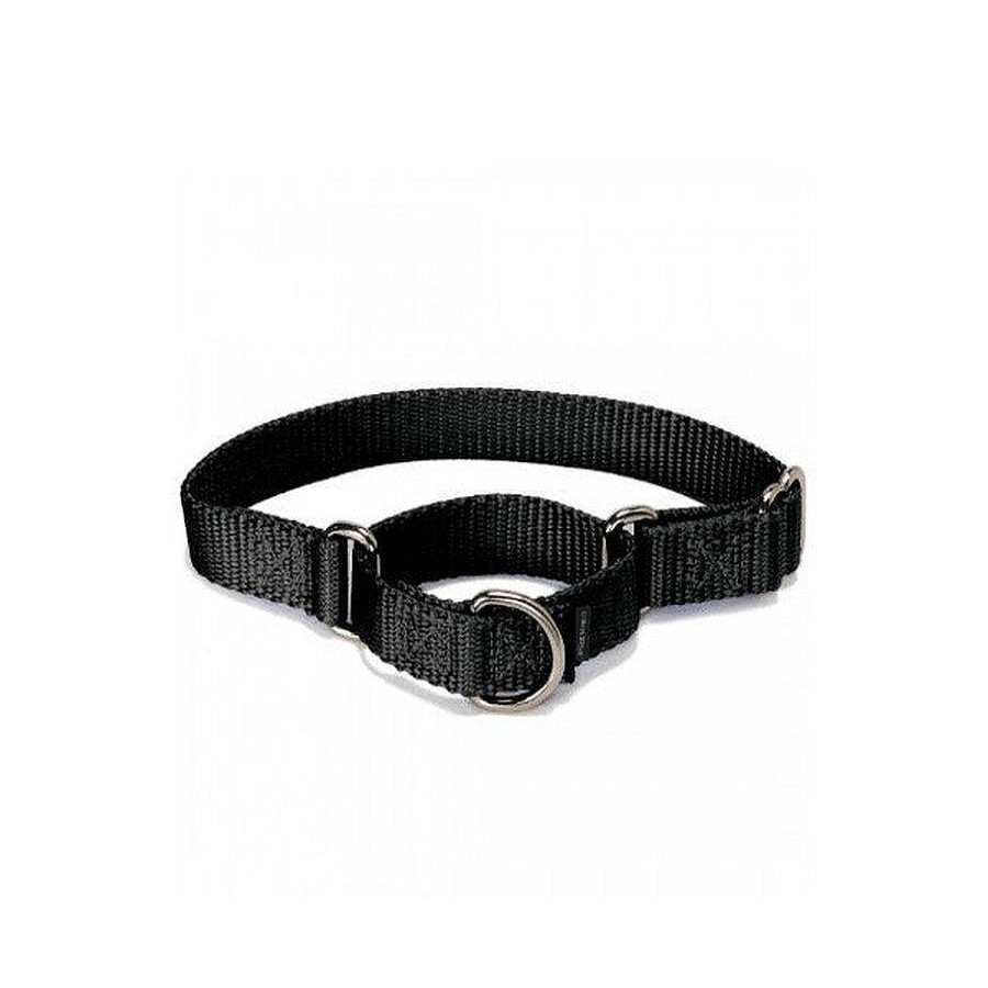 Perro PetSafe Collares Y Correas | Collar Para Perro Estilo Martingale Petsafe