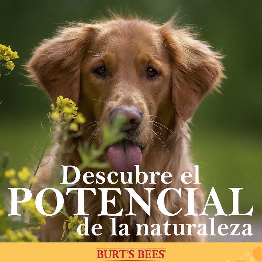 Perro Burt's Bees Limpieza | Toallitas H Medas Para Perro Con Miel Burt'S Bees 50 Pzs