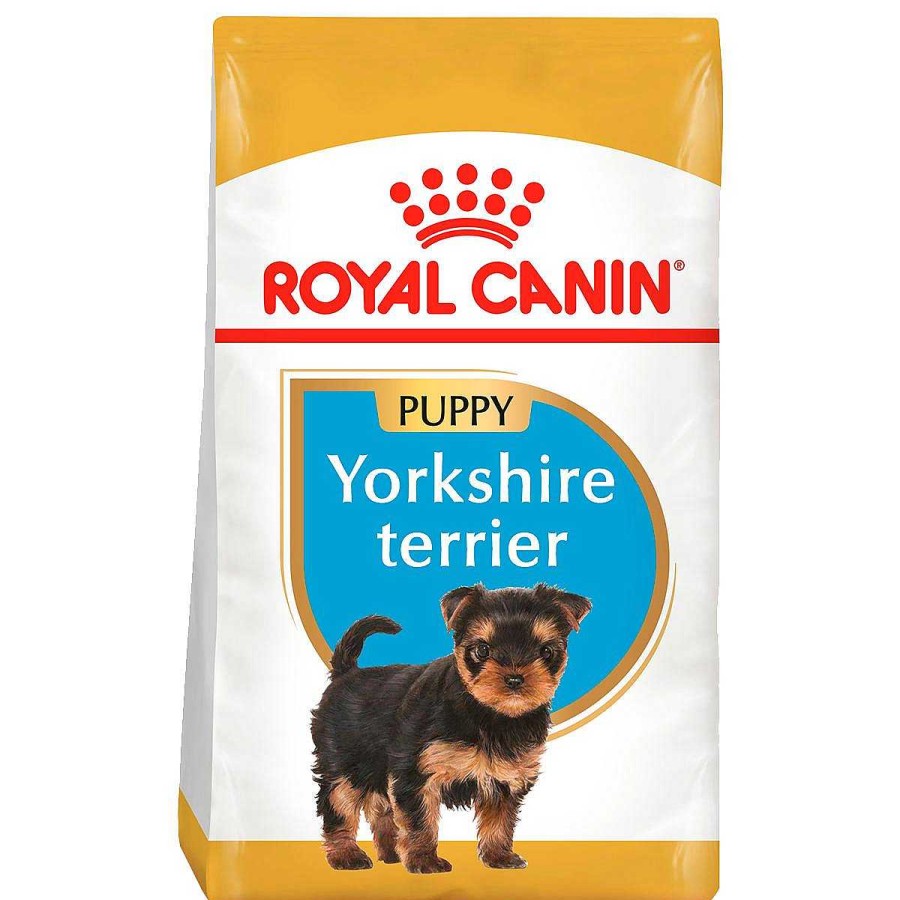 Perro Royal Canin SPT Alimento Seco | Alimento Para Cachorro Yorkshire Terrier Royal Canin Spt 1.13 Kg