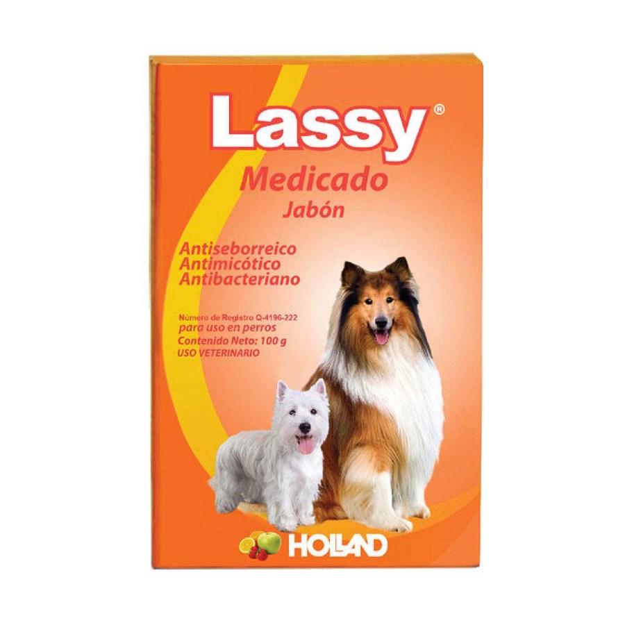 Perro Holland Est Tica | Jab N Medicado Lassy Holland 100 G