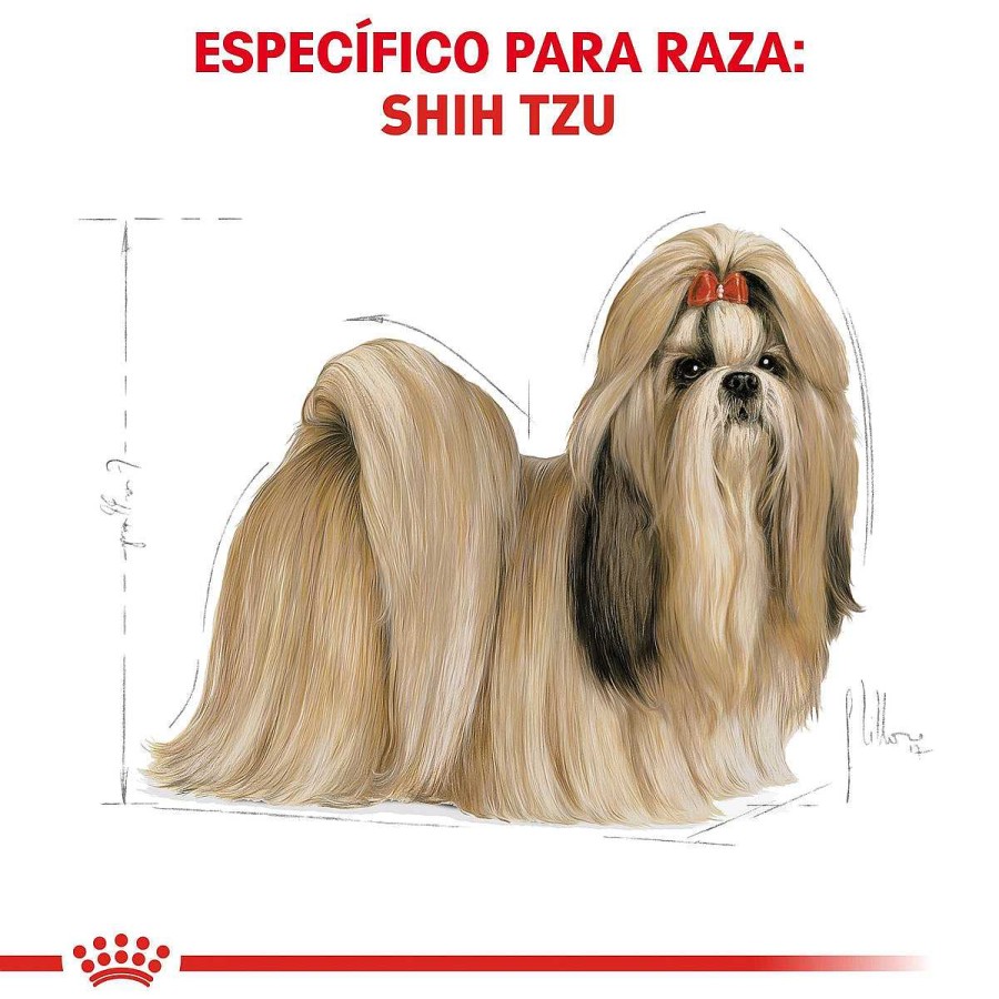 Perro Royal Canin SPT Alimento Seco | Alimento Para Perro Adulto Shih Tzu Royal Canin Spt