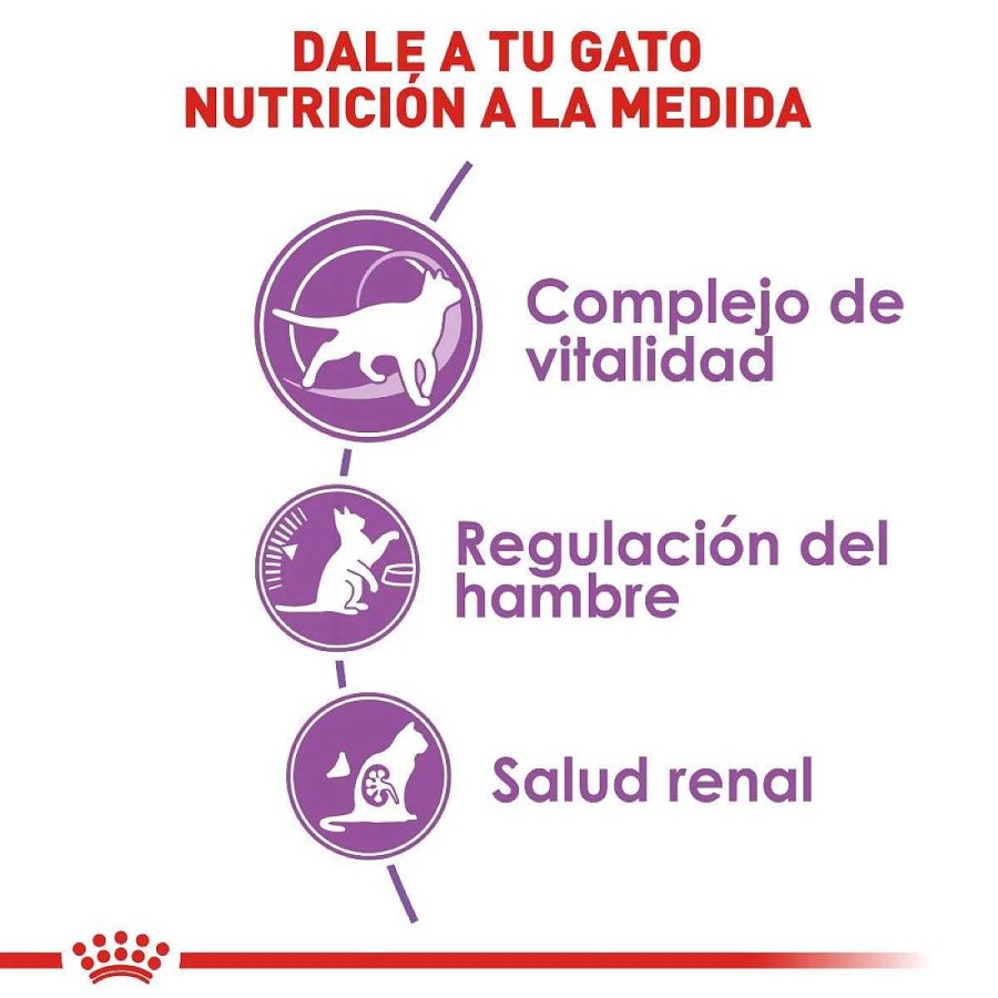 Gato Royal Canin SPT Alimento Seco | Alimento Para Gato Adulto Spayed Neutered Control De Apetito Adulto Mayor 7 A Os (Spayed Neutered 7+) Royal Canin Spt 2.7 Kg