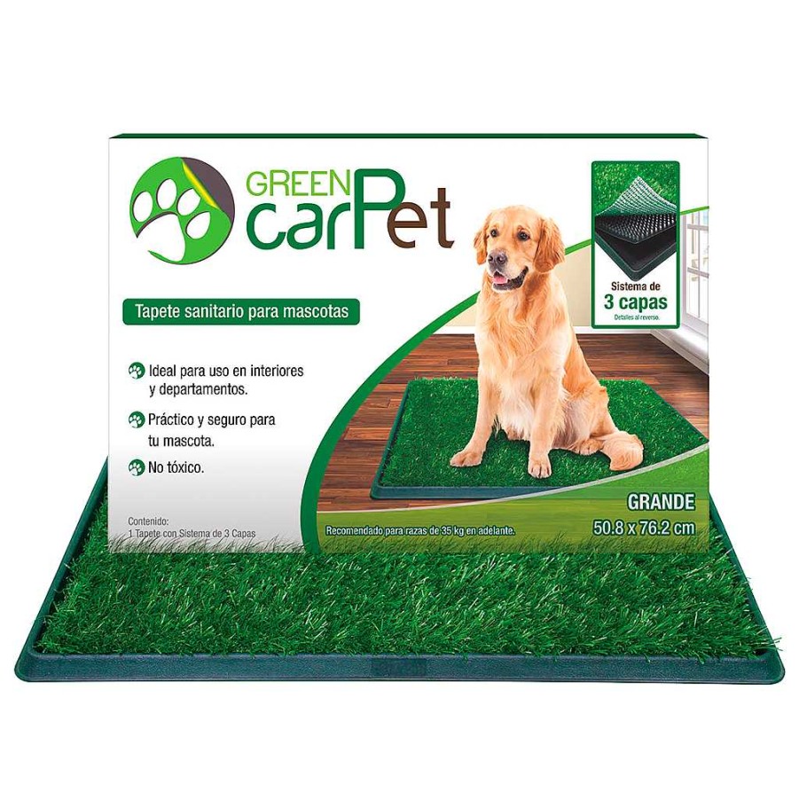 Perro Green CarPet Tapetes | Tapete Entrenador Green Carpet