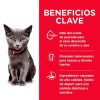 Gato Hill's Science Diet Alimento Seco | Alimento Para Gatito De Interior Kitten Indoor Hill'S Science Diet