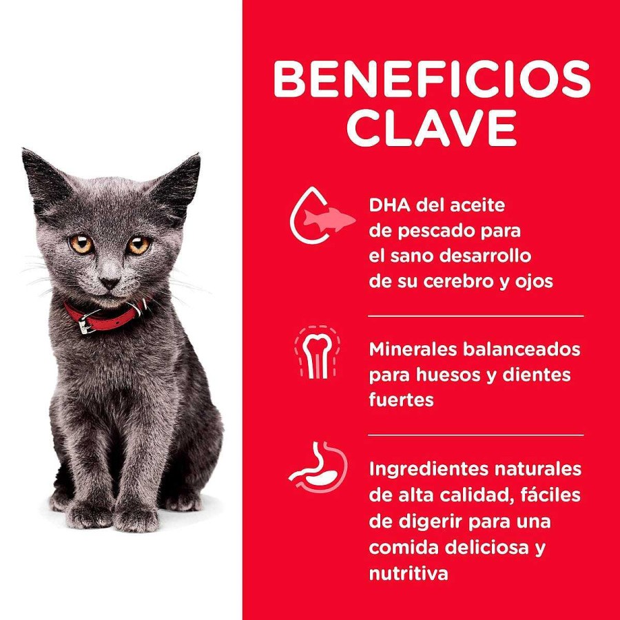 Gato Hill's Science Diet Alimento Seco | Alimento Para Gatito De Interior Kitten Indoor Hill'S Science Diet