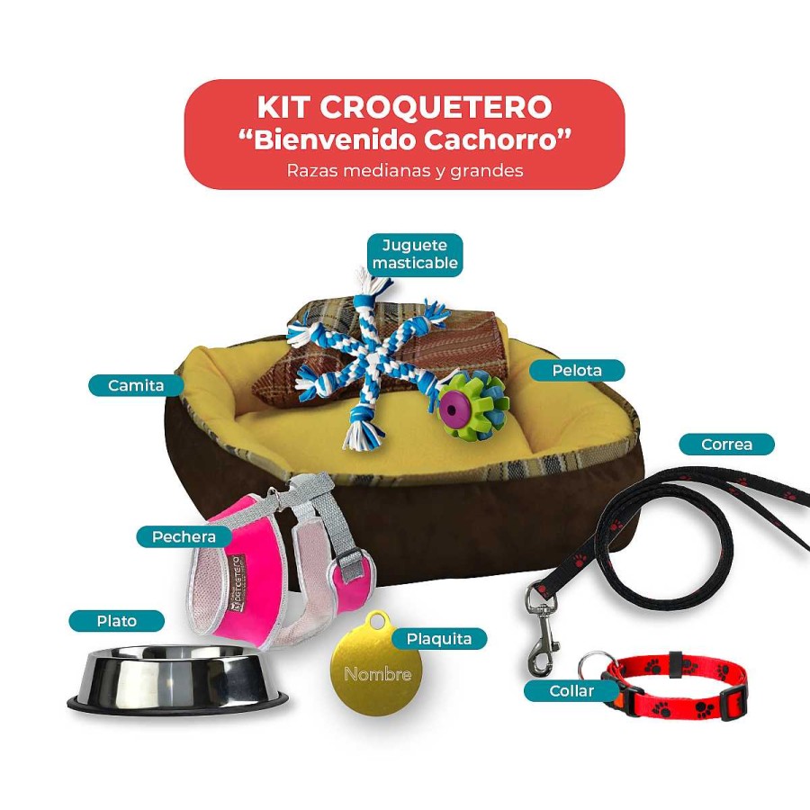 Perro Croquetero Platos Y Bebederos | Kit Para Nuevo Cachorro Croquetero