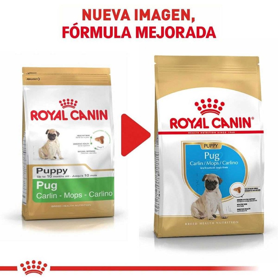 Perro Royal Canin SPT Alimento Seco | Alimento Para Cachorro Pug Royal Canin Spt 1.13 Kg