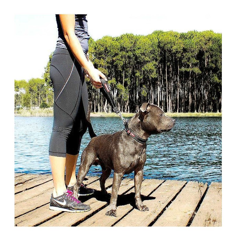 Perro Ezydog Collares Y Correas | Correa Corta De Entrenamiento Neo Mongrel Ezydog