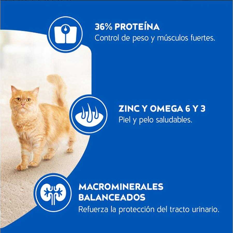 Gato Cat Chow Alimento Seco | Alimento Para Gato Adulto Purina Cat Chow Con Defense Plus 1.5 Kg