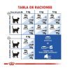 Gato Royal Canin SPT Alimento Seco | Alimento Para Gato Adulto Interior 27 (Indoor 27) Royal Canin Spt