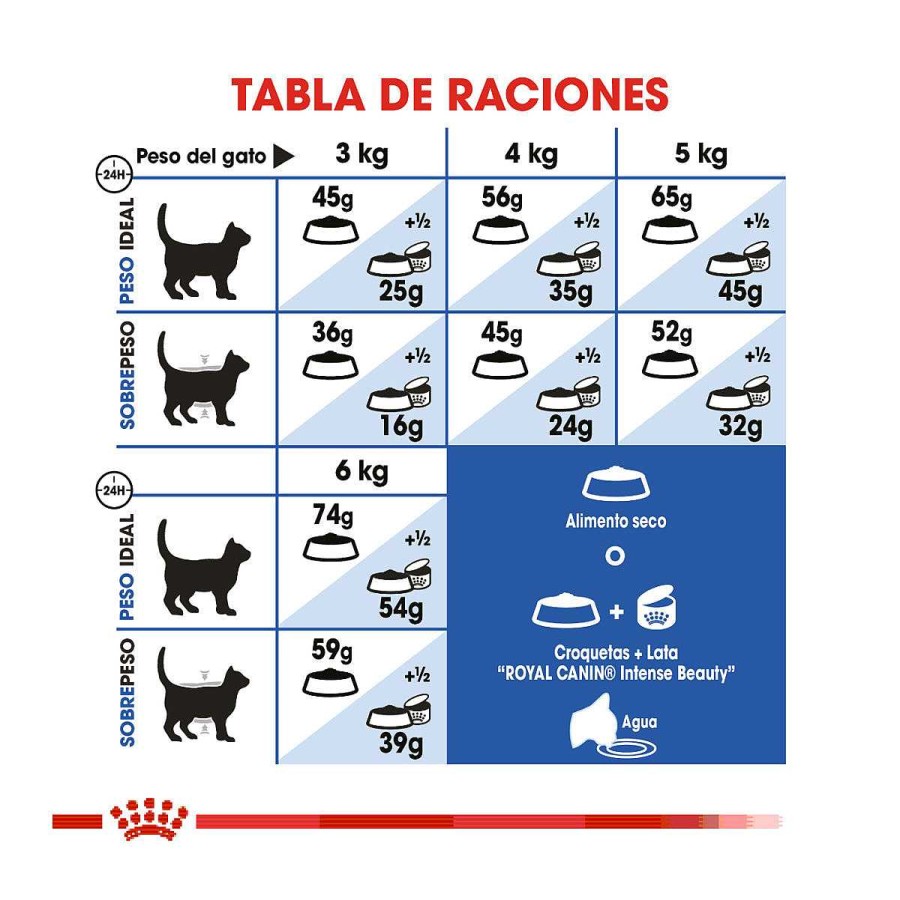 Gato Royal Canin SPT Alimento Seco | Alimento Para Gato Adulto Interior 27 (Indoor 27) Royal Canin Spt