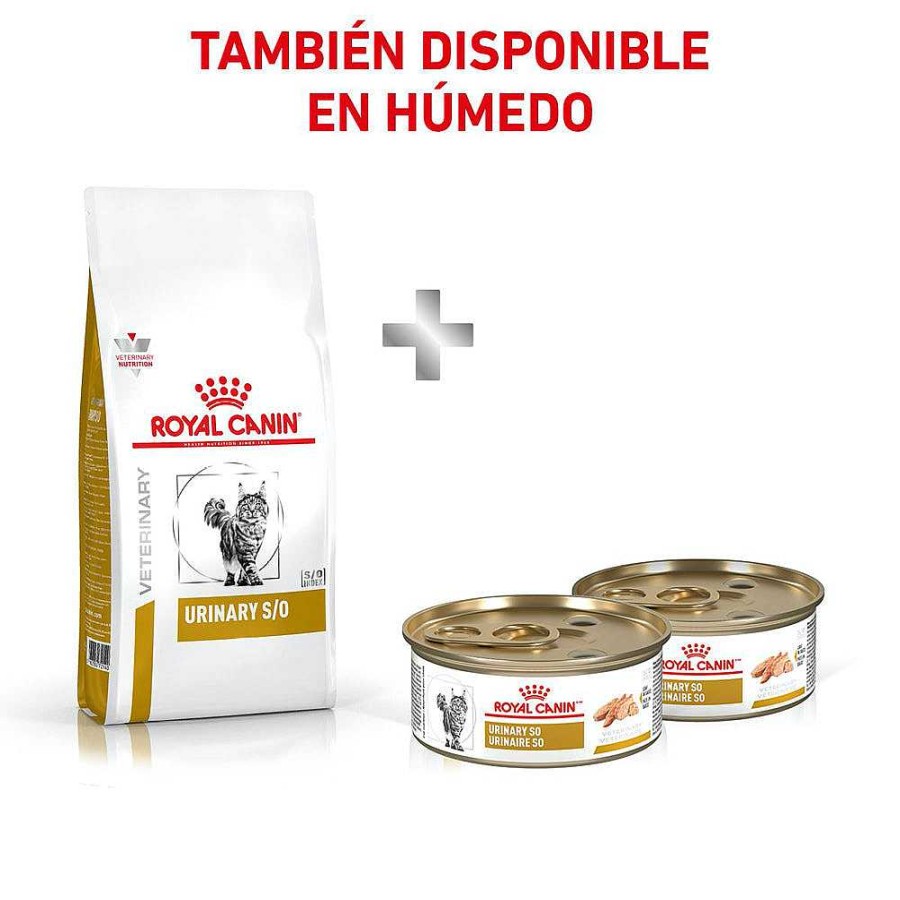 Gato Royal Canin VET Alimento Seco | Alimento Para Gato Adulto Enfermedad Urinaria Royal Canin Vet Urinary So