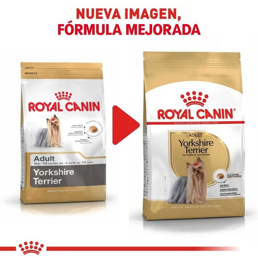 Perro Royal Canin SPT Alimento Seco | Alimento Para Perro Adulto Yorkshire Terrier Royal Canin Spt