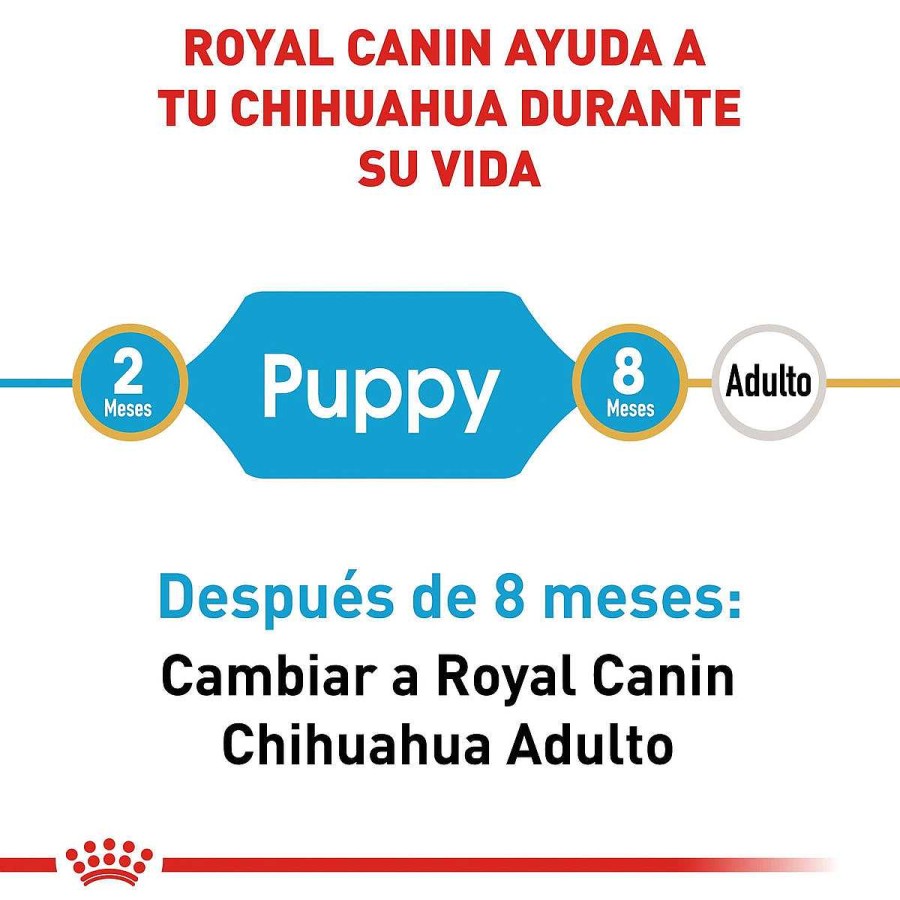 Perro Royal Canin SPT Alimento Seco | Alimento Para Cachorro Chihuahua Royal Canin Spt 1.13 Kg