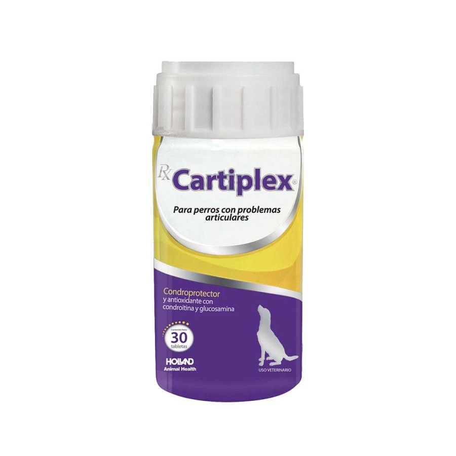 Perro Holland Vitaminas | Suplemento Para Perros Rx Cartiplex