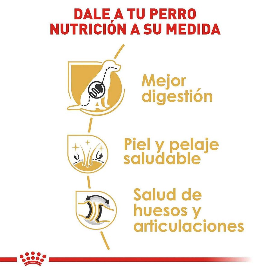 Perro Royal Canin SPT Alimento Seco | Alimento Para Perro Adulto Pastor Al Man Royal Canin Spt 13.6 Kg