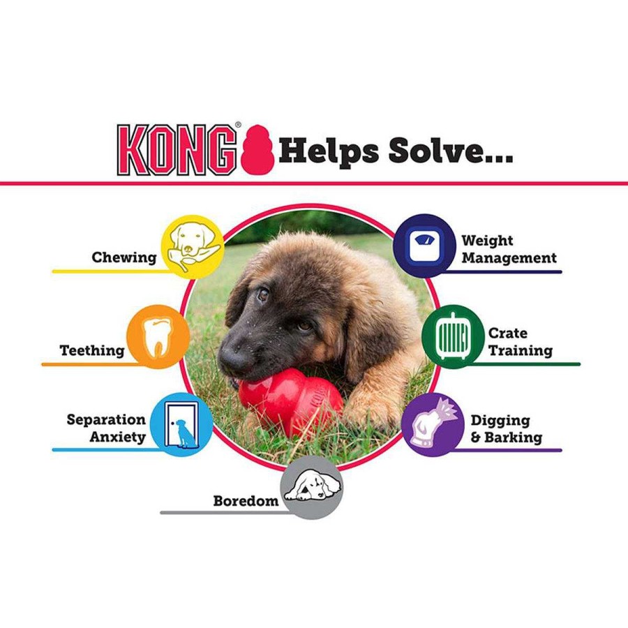 Perro Kong Interactivos | Juguete Senior Porta Premios Kong