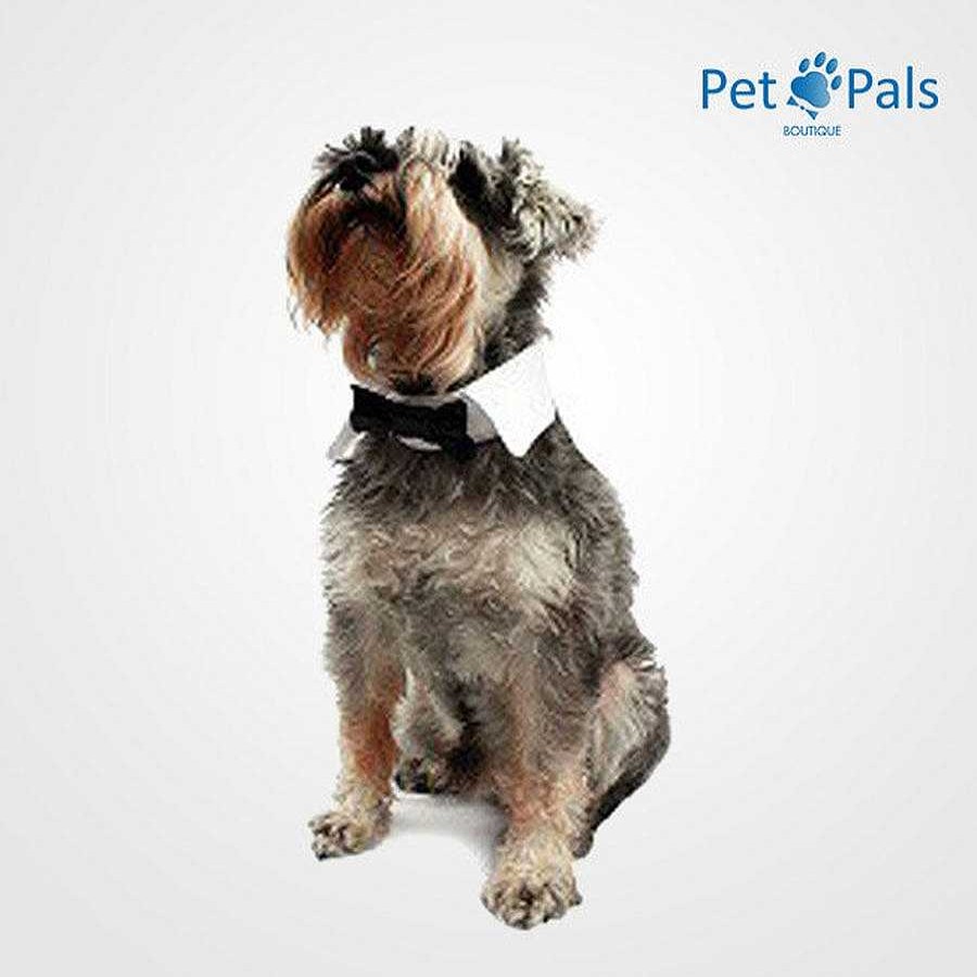 Perro Pet Pals Boutique Ropa | Mo O Personalidad Pet Pals