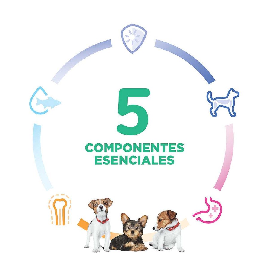 Perro Hill's Science Diet Alimento Seco | Alimento Para Cachorro Razas Peque As Y Miniatura Small & Mini Puppy Hill'S Science Diet