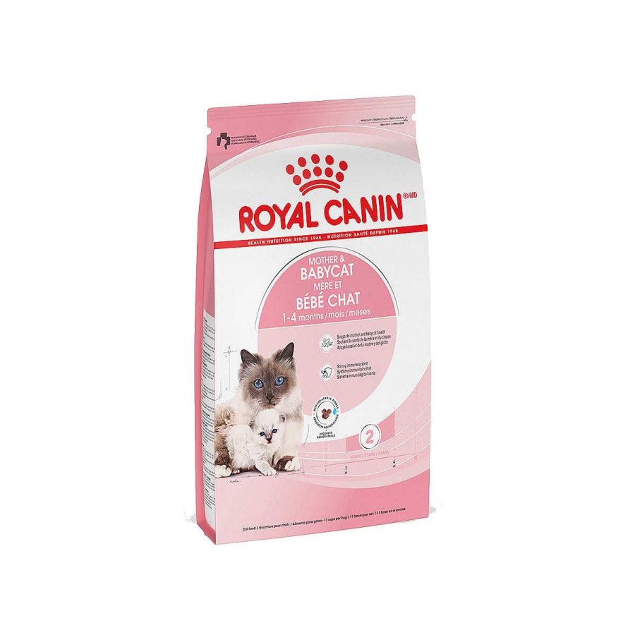 Gato Royal Canin SPT Alimento Seco | Alimento Para Gata Gestante O Lactante Y Gatito (Mother & Babycat) Royal Canin Spt