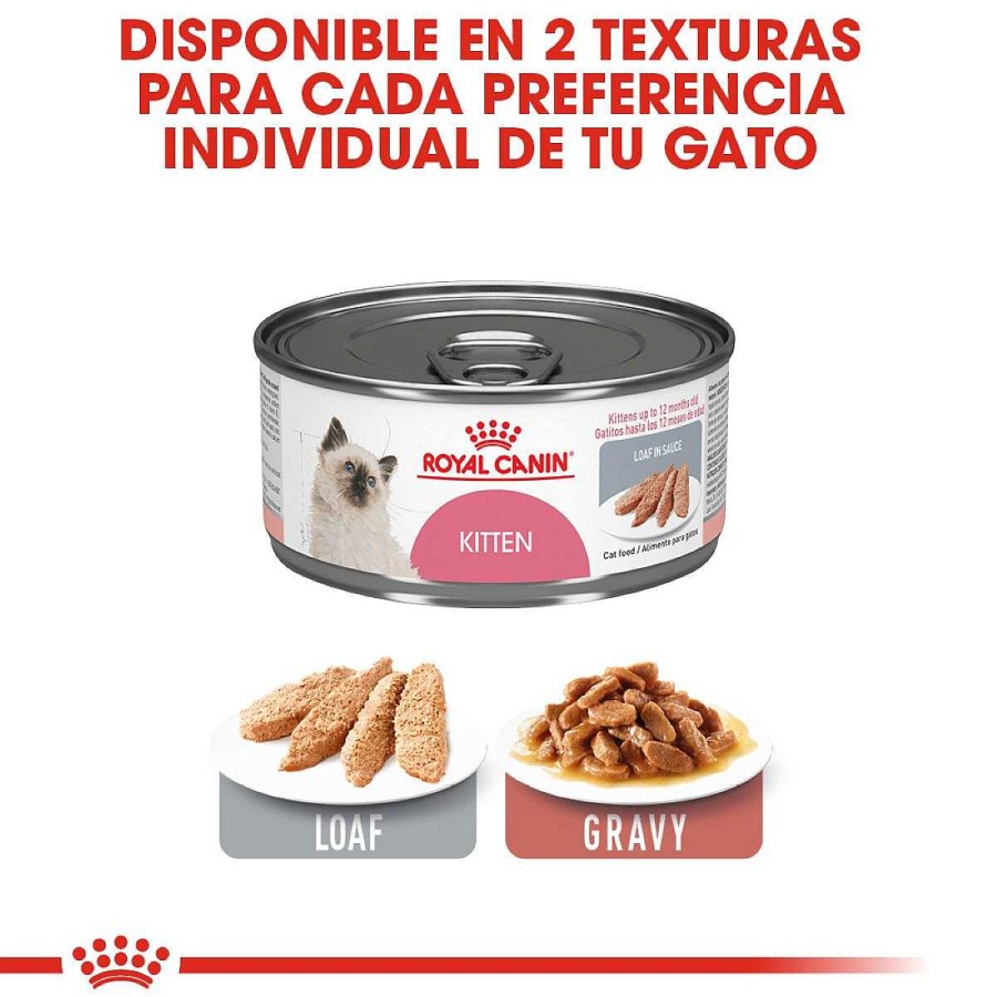 Gato Royal Canin SPT Alimento H Medo | Alimento H Medo En Lata Para Gatito Royal Canin Spt Kitten Instinctive Wet Loaf Pieza Individual