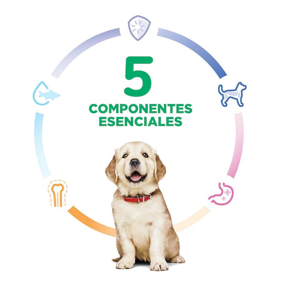 Perro Hill's Science Diet Alimento Seco | Alimento Para Cachorro Razas Grandes Puppy Large Breed Hill'S Science Diet