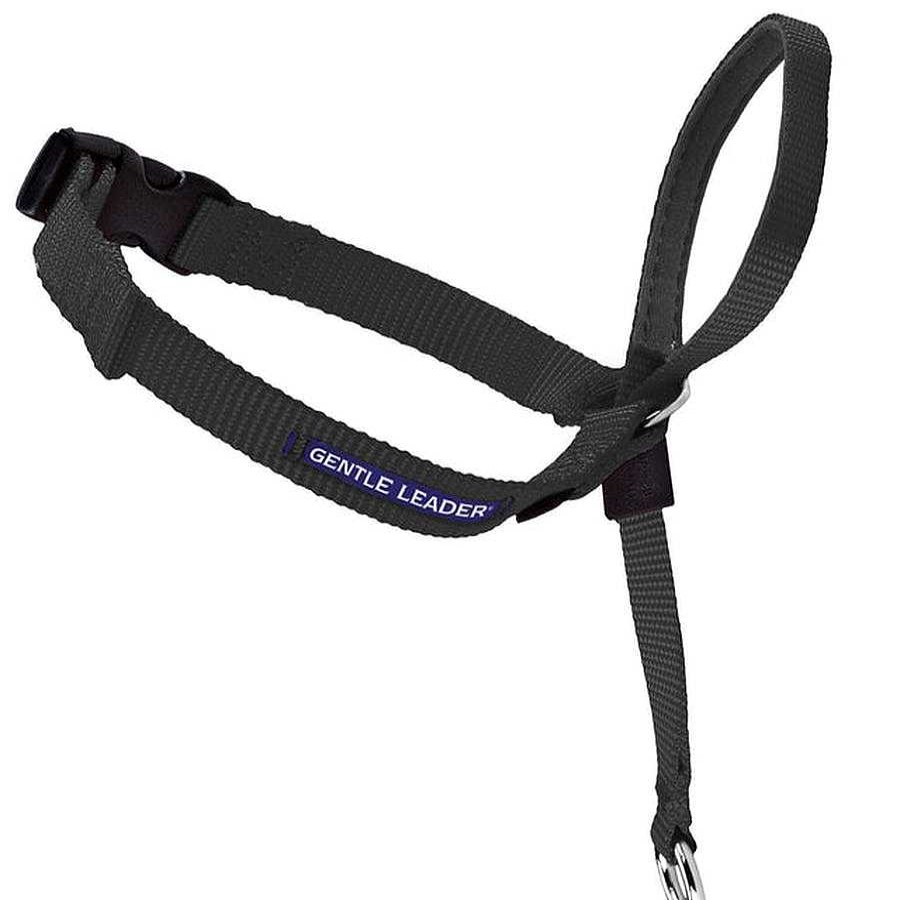 Gato PetSafe Cuidados | Gentle Leader Head Collar Petsafe