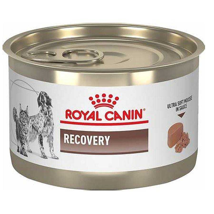 Perro Royal Canin VET Alimento H Medo | Alimento En Lata Para Perro Y Gato Adulto Recuperaci N Royal Canin Vet Recovery Rs