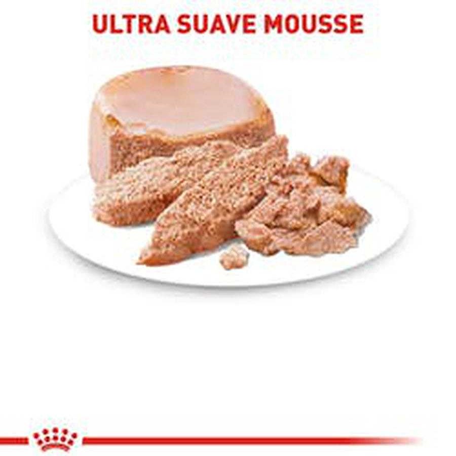 Perro Royal Canin SPT Alimento H Medo | Alimento H Medo En Lata Para Perro Cachorro Y Perra Gestante Todas Las Razas Starter Starter Mother & Baby Dog Mousse In Sauce Royal Canin Spt Pieza Individual