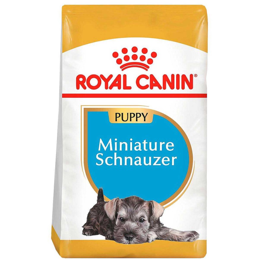 Perro Royal Canin SPT Alimento Seco | Alimento Para Perro Royal Canin Bhn Miniature Schnauzer Puppy