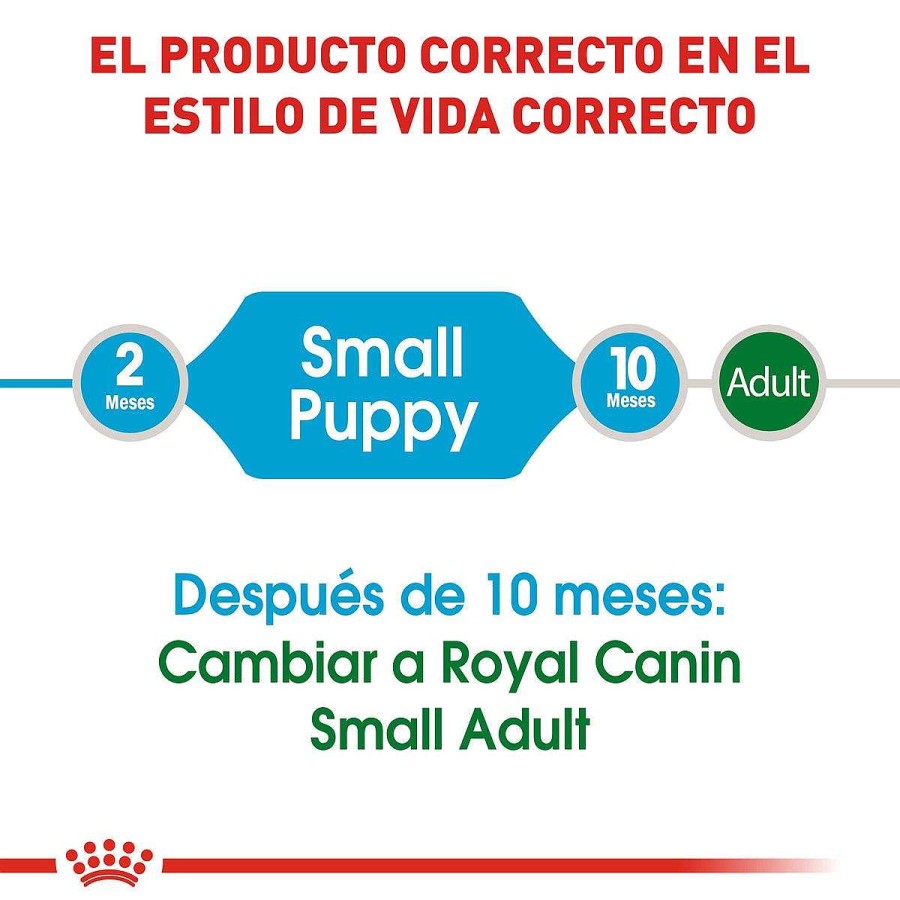 Perro Royal Canin SPT Alimento Seco | Alimento Para Cachorro Raza Mini Y Peque A Royal Canin Spt Mini Puppy