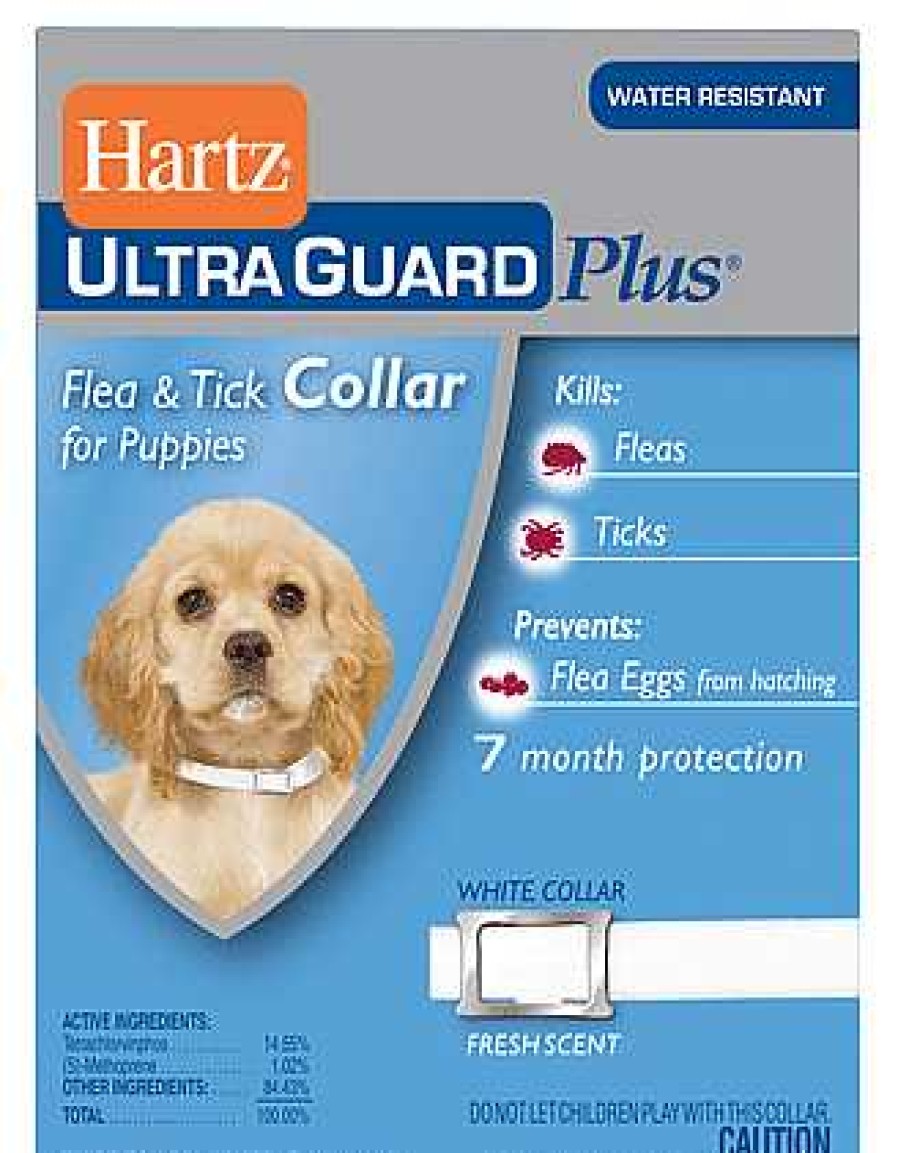 Gato Hartz Cuidados | Collar Antipulgas 3 En 1 Para Cachorros Hartz