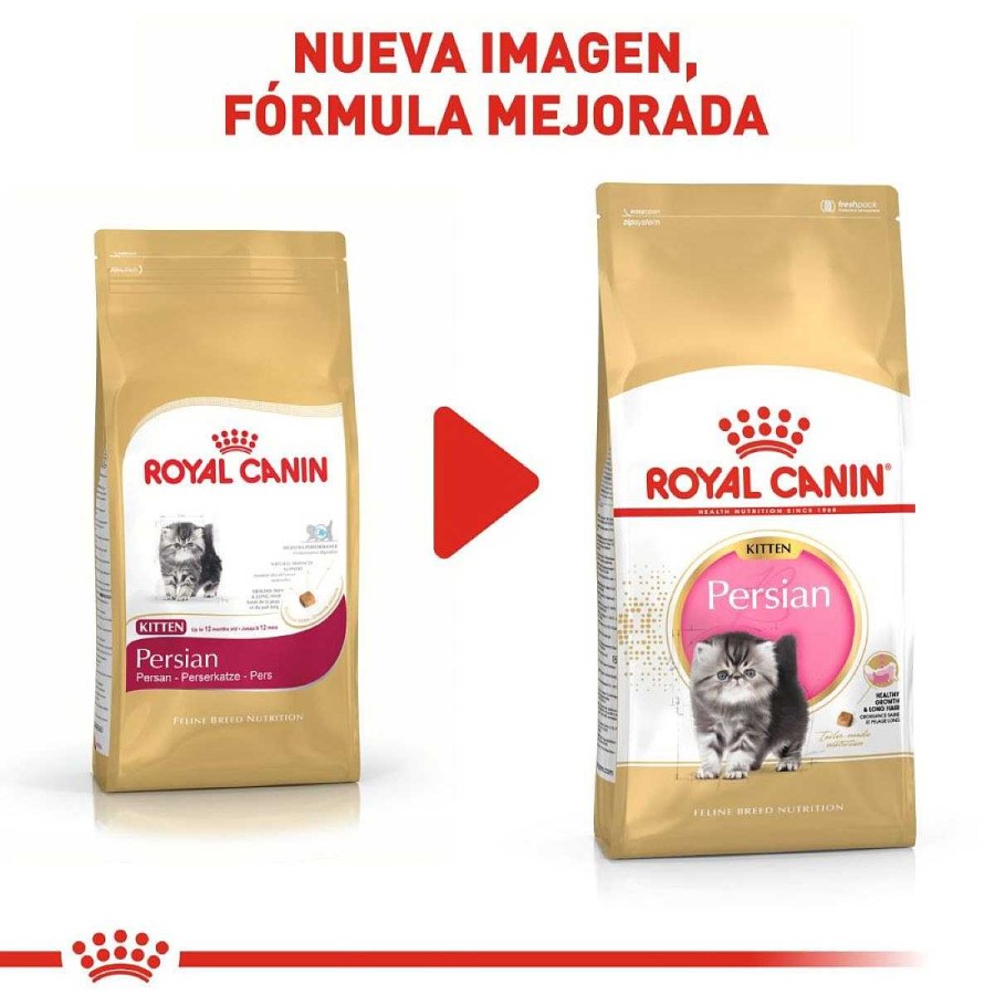 Gato Royal Canin SPT Alimento Seco | Alimento Para Gatito Persa (Persian Kitten) Royal Canin Spt 1.3 Kg