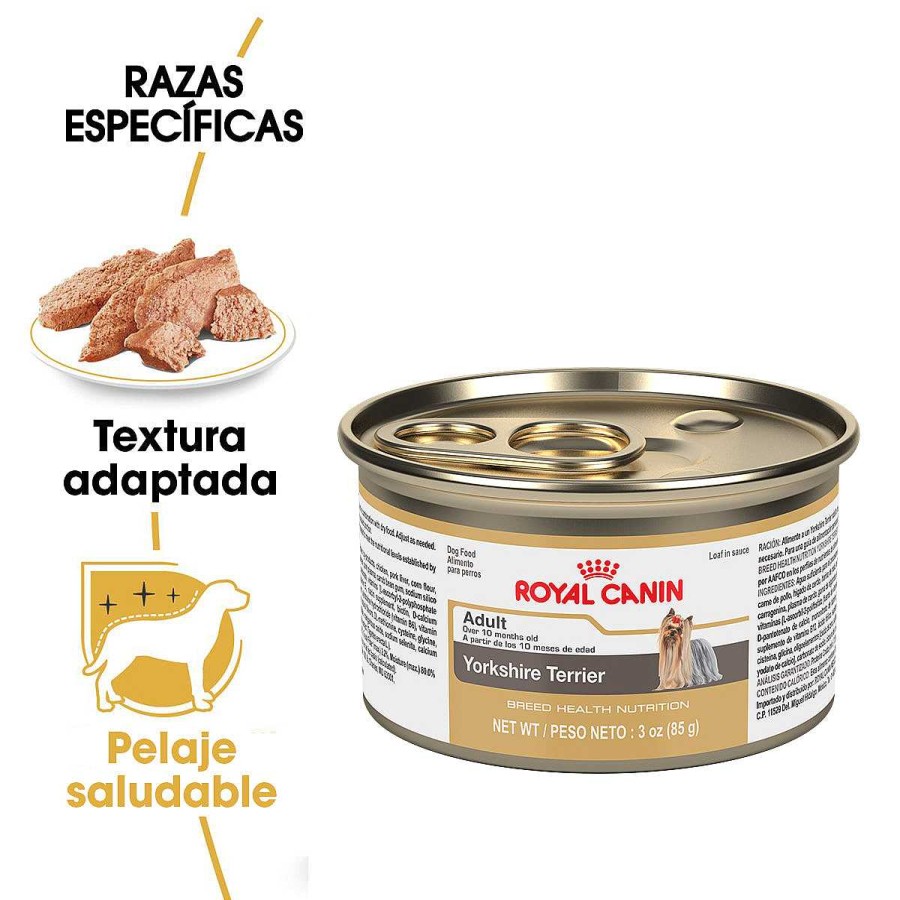 Perro Royal Canin SPT Alimento H Medo | Alimento H Medo En Lata Para Perro Adulto Yorkshire Royal Canin Spt Pieza Individual