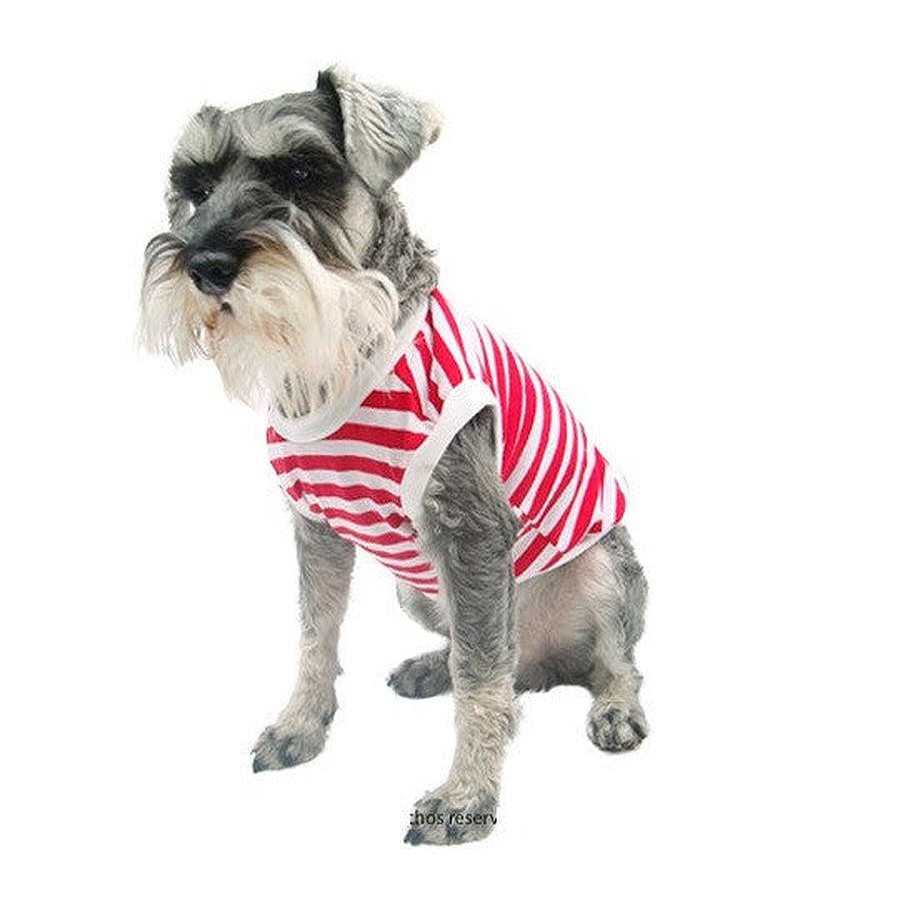 Perro Pet Pals Boutique Ropa | Nautical T-Shirt By Pet Pals