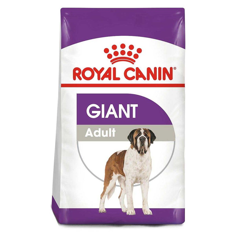 Perro Royal Canin SPT Alimento Seco | Alimento Para Perro Adulto Raza Grande Royal Canin Spt Giant Adult