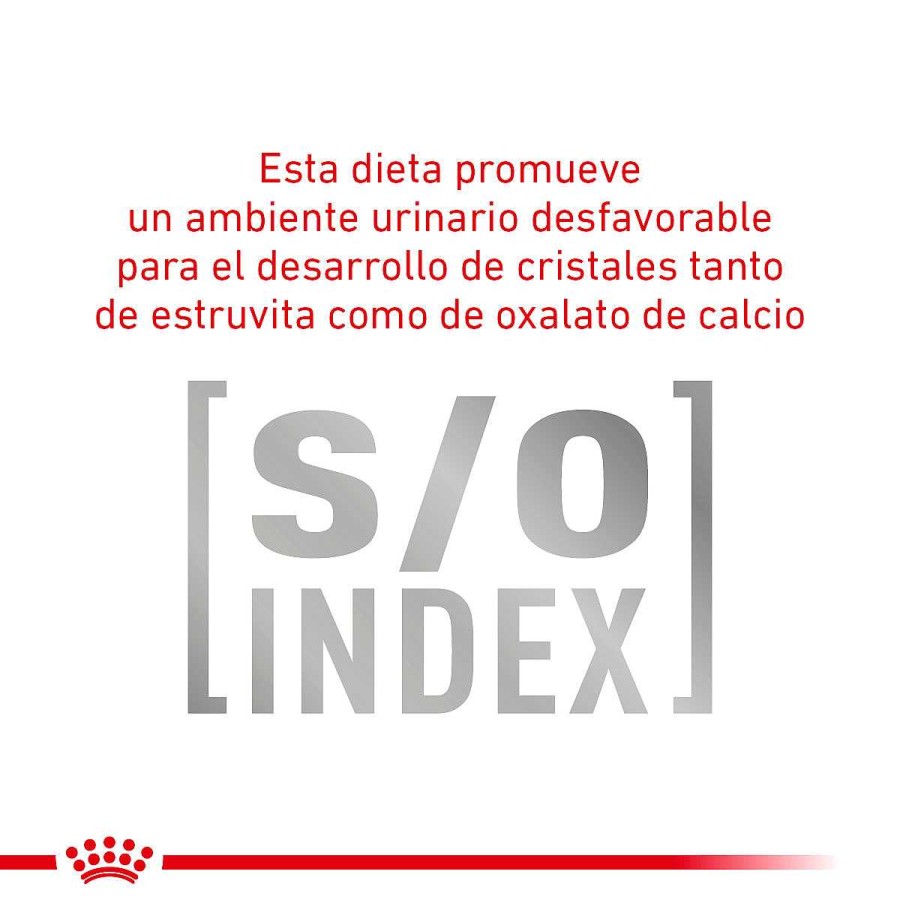 Gato Royal Canin VET Alimento Seco | Alimento Para Gato Adulto Control De Glucosa Royal Canin Vet Glycobalance (Diabetic)