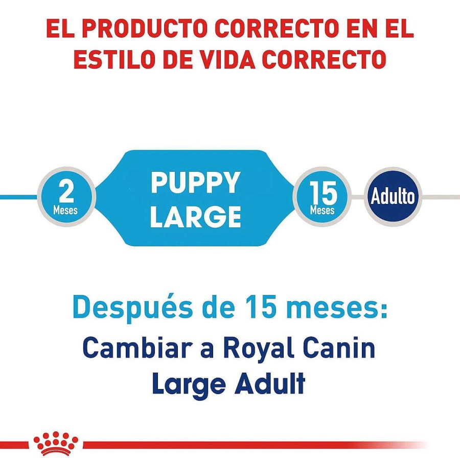 Perro Royal Canin SPT Alimento Seco | Alimento Para Cachorro Raza Grande Royal Canin Spt Large Puppy