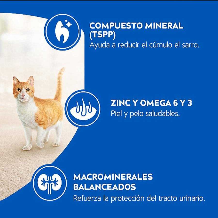 Gato Cat Chow Alimento Seco | Alimento Para Gato Adulto Purina Cat Chow Con Defense Plus Pescado 3.0 Kg