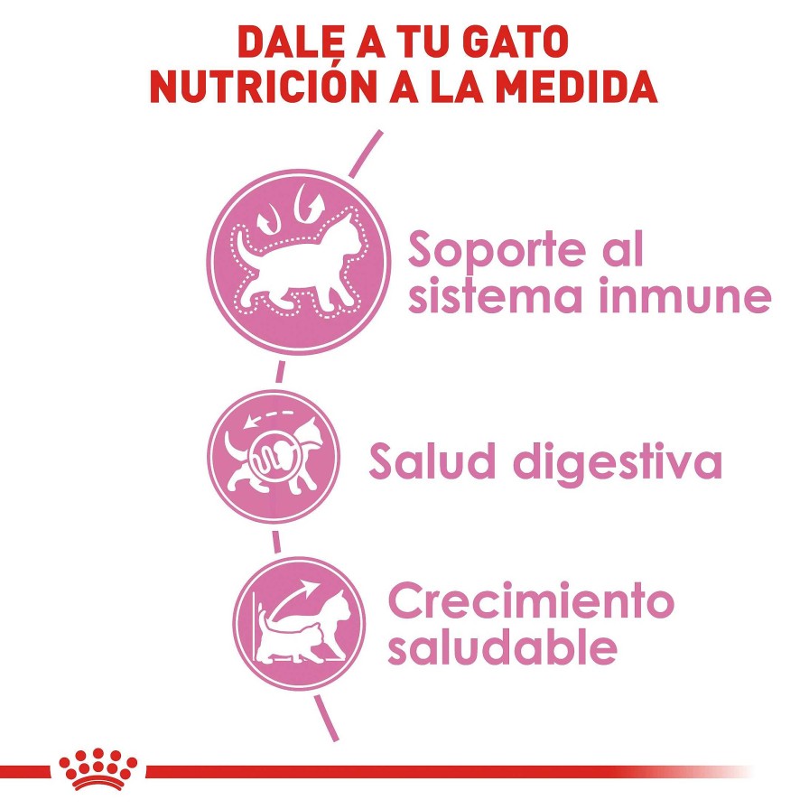 Gato Royal Canin SPT Alimento Seco | Alimento Para Gatito (Kitten) Royal Canin Spt