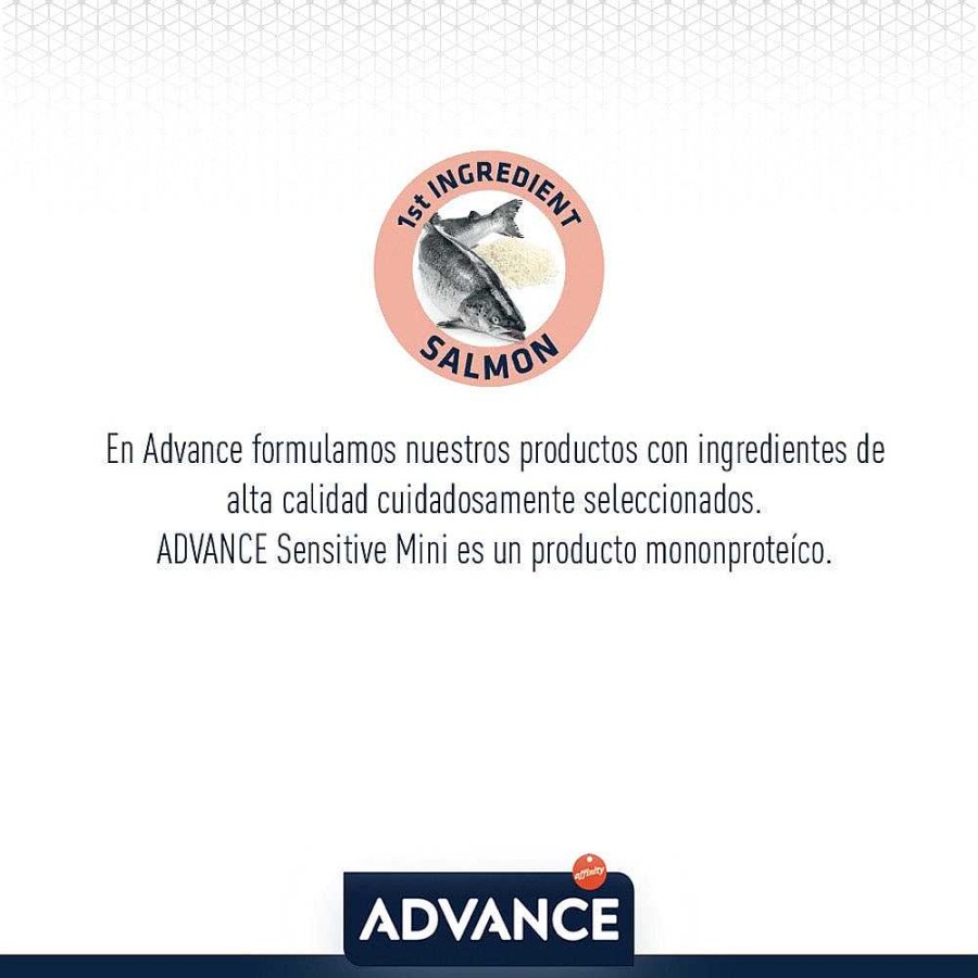 Perro Advance Alimento Seco | Adulto Sensitive Medium Maxi Nica Prote Na De Salm N