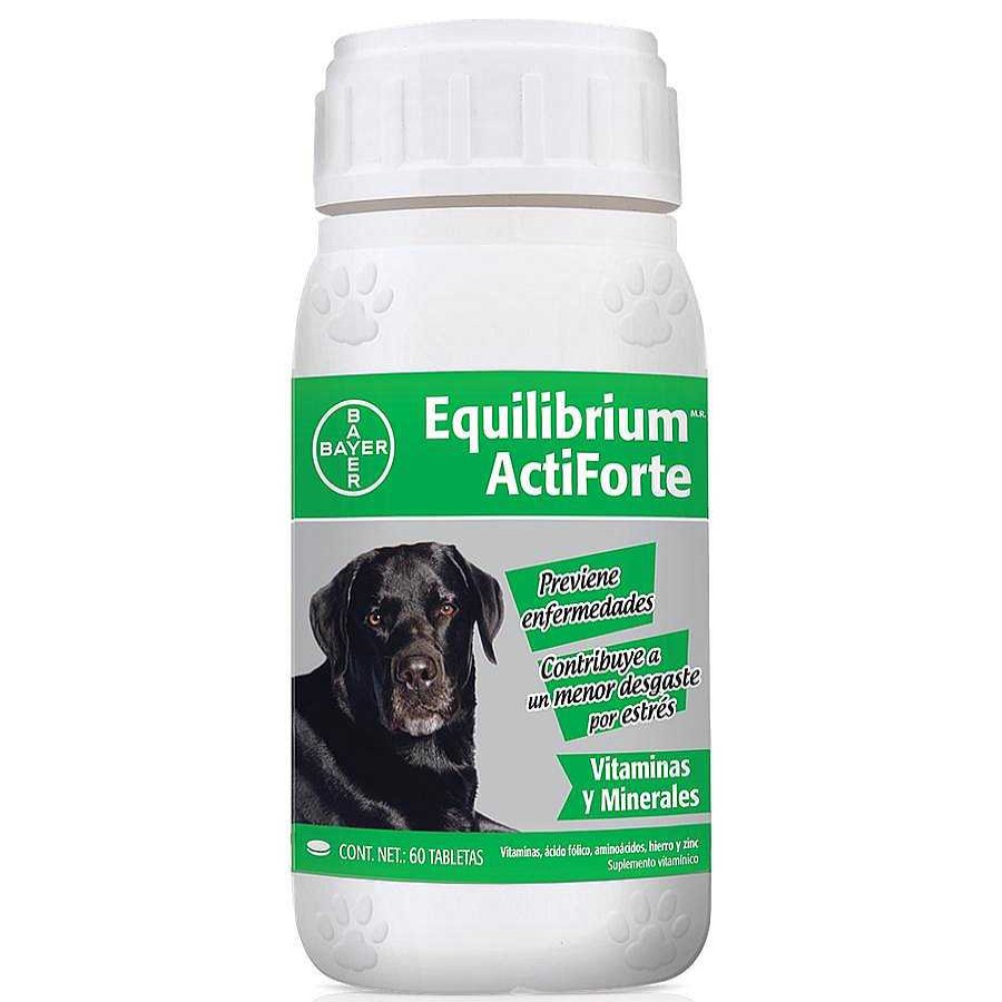 Perro Bayer Vitaminas | Equilibrium Actiforte